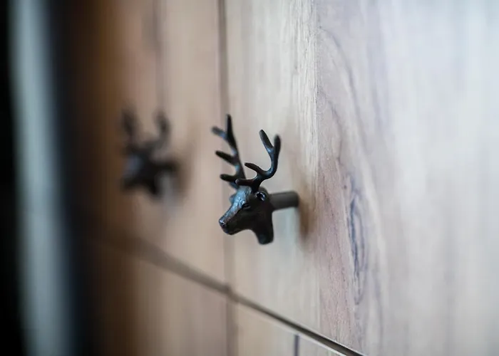 Wysoki Poziom Lejlighed